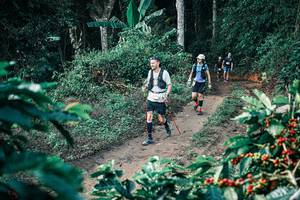 BIB: 
                            <button type="button" onclick="openModal(25800471)" class="btn btn-primary btn-sm float-right btn-popup" data-toggle="modal" data-target=".modal-high-quality">
                        <i class="fas fa-shopping-cart"></i> Add to Cart
                    </button>
                                            <button type="button" onclick="isThisMe(25800471, true)" class="btn btn-success btn-sm float-right btn-popup btn-isme hidden" data-toggle="tooltip" data-placement="bottom" title="นี่คือรูปของคุณใช่ไหม คลิกที่นี่เพื่อเอาเข้าอัลบั้ม">
                        <i class="fas fa-plus"></i> Add to album
                    </button>
                    <button type="button" onclick="isThisMe(25800471, false)" class="btn btn-warning btn-sm float-right btn-popup btn-isnotme hidden">
                        <i class="fas fa-ban"></i> Remove from album
                    </button>